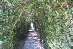 mil_balchik_13