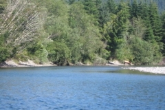 victoria_bay_13