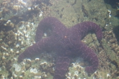 victoria_bay_19