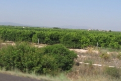spain_drive_5