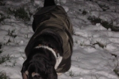 sep_snow2