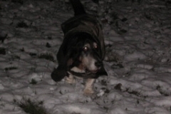 sep_snow_1