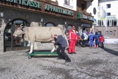 khutai_kristy_cow