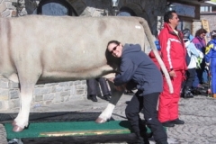 khutai_kristy_cow2