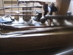 cz_monastic_library_2.thumb