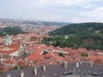 cz_top_view_3.thumb