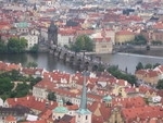 cz_top_view_5.thumb