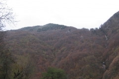 rila_11