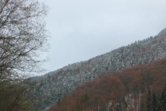 rila_13