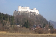 salz_fortress_far