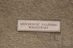 salz_wall_street