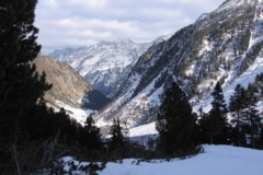 stubai8
