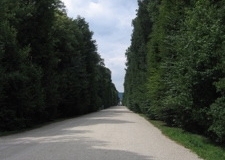 vie_schon_12