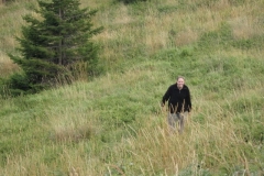 23_lost_in_the_meadow