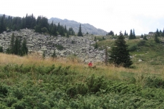 27_mark_in_meadow