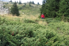 28_mark_in_meadow