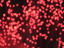 fireworks-red.jpg