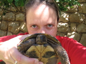 me-turtle.jpg
